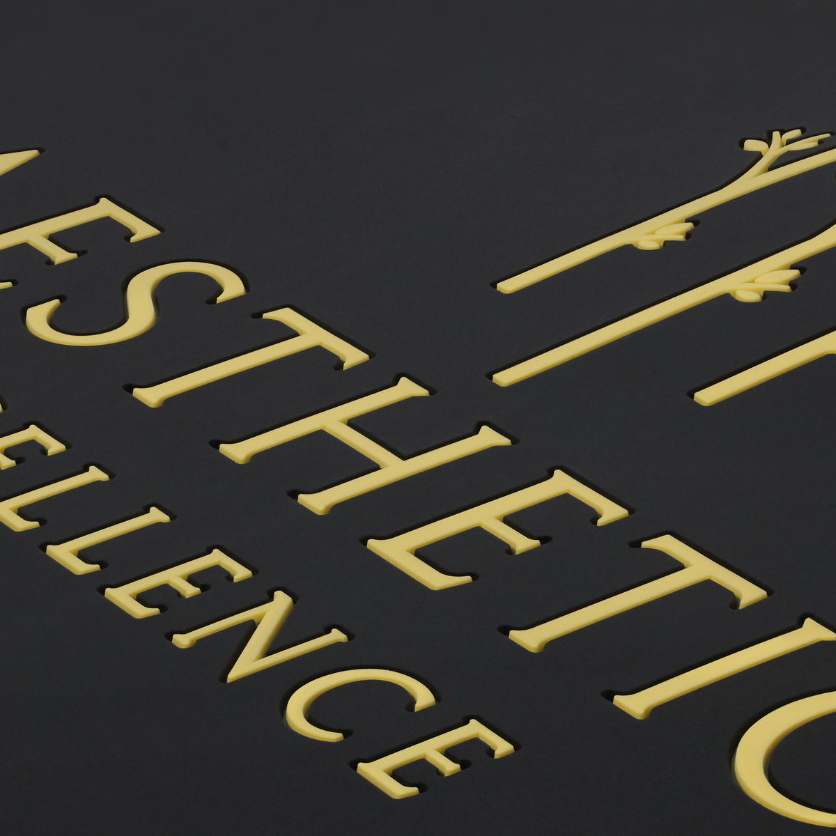 Aesthetic Mat Aesthetic Excellence Photography Positioning Mat – .aesthetic.excellence.